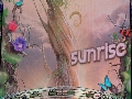 Sunrise Festival 2014-3